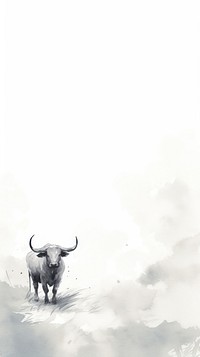 Ox wallpaper wildlife buffalo animal.