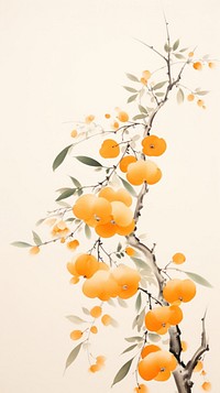 Orange wallpaper plant fruit clementine.