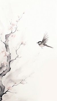 Bird wallpaper painting drawing animal.