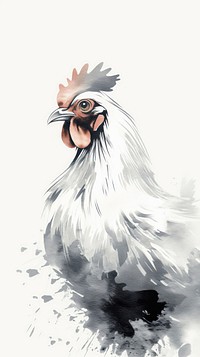 Chicken wallpaper poultry animal bird.