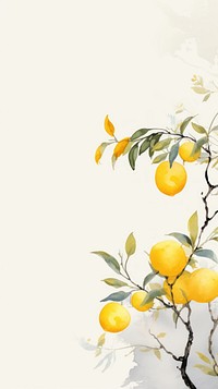 Lemon wallpaper plant fruit food.