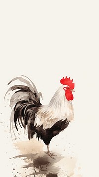 Rooster wallpaper chicken poultry animal.
