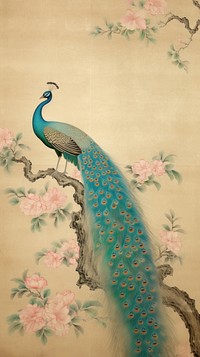 Peacock scenery wallpaper animal bird calligraphy.