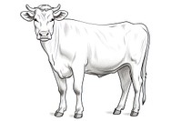 Cow outline sketch livestock mammal cattle.