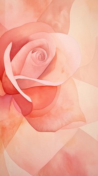 Rose abstract flower petal.
