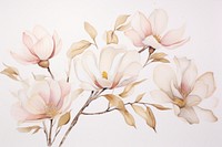 Magnolias watercolor background painting blossom flower.