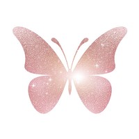 Butterfly icon petal light white background.