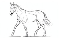 Horse outline sketch drawing animal mammal.