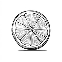 Lime sketch fruit wheel.