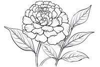 Marigold outline sketch drawing flower plant.