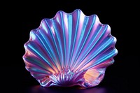 Sea shell invertebrate translucent accessories.