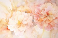 Carnation flowers watercolor background painting backgrounds blossom.