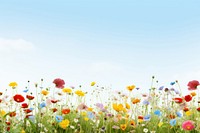 Flower field nature sky backgrounds.