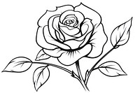 Rose outline sketch drawing flower plant.