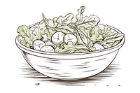 Salad outline sketch line drawing food bowl.