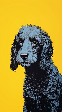 Poodle dog animal mammal yellow.