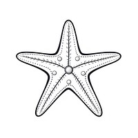 Star fish starfish sketch line.