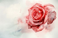 Background Valentines rose backgrounds flower petal.