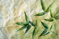 Background bamboo paper backgrounds plant.