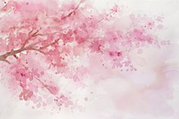 Background Cherry blossom backgrounds flower cherry.