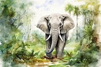 Background Elephant in jungle elephant wildlife outdoors.