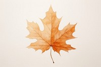 Background maple plant paper leaf.