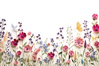 Wild flower floral border backgrounds outdoors blossom.