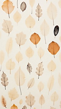 Real pressed leaves pattern backgrounds wallpaper textured.
