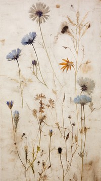 Real pressed wildflower backgrounds painting plant.