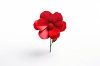 Red flower petal plant rose.