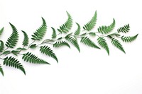 Fern floral border plant leaf white background.