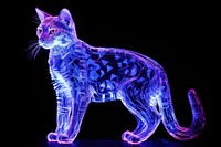 Neon cat animal mammal purple.