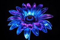 Neon sunflower light nature night.