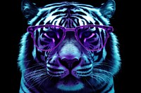 Neon tiger glasses wildlife animal.