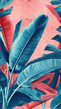Realistic vintage drawing of banana leaves backgrounds tropics nature.