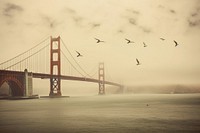 Golden Gate Bridge bridge outdoors flying.