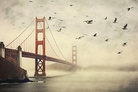 Golden Gate Bridge bridge outdoors bird.