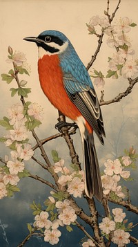 Traditional japanese wood block print illustration of bird with spring flowers garden landscape animal plant beak.