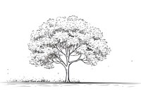 Tree sketch drawing white.