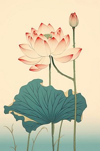 Isolated lotus flower plant lily.