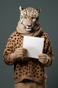 Leopard wildlife portrait holding.