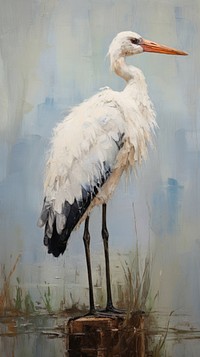 Stork stork animal bird.