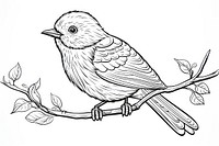 Bird sketch bird drawing.