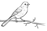 Bird sketch bird drawing.