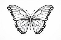 Butterfly sketch butterfly drawing.