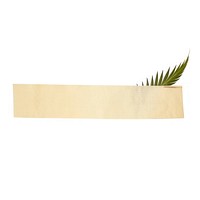 Palm leaf ephemera plant white background rectangle.