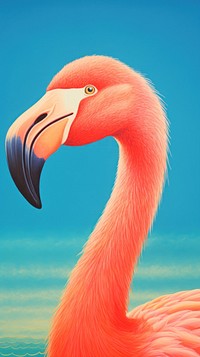 Pink flamingo animal beak bird.