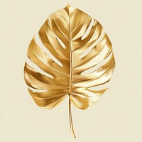 Tropical leave plant leaf gold.