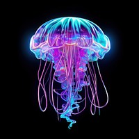 Neon jellyfish purple invertebrate illuminated.