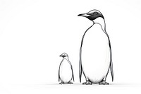 Penguin penguin animal sketch.